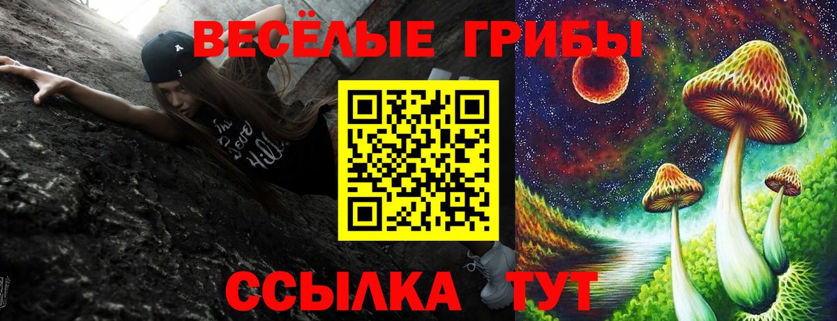 Галлюциногенные грибы мицелий  Псилоцибиновые грибы Psilocybine cubensis  Серов  Вход с VPN 