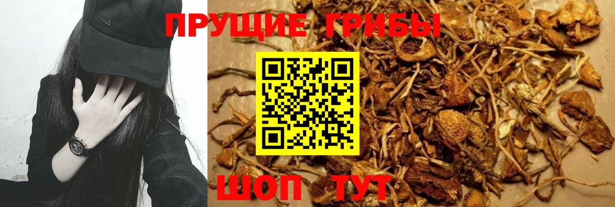 Галлюциногенные грибы MAGIC MUSHROOMS Серов